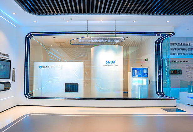 SNDA��̼�ǻ�һ�廯ˮ��Ⱦ����