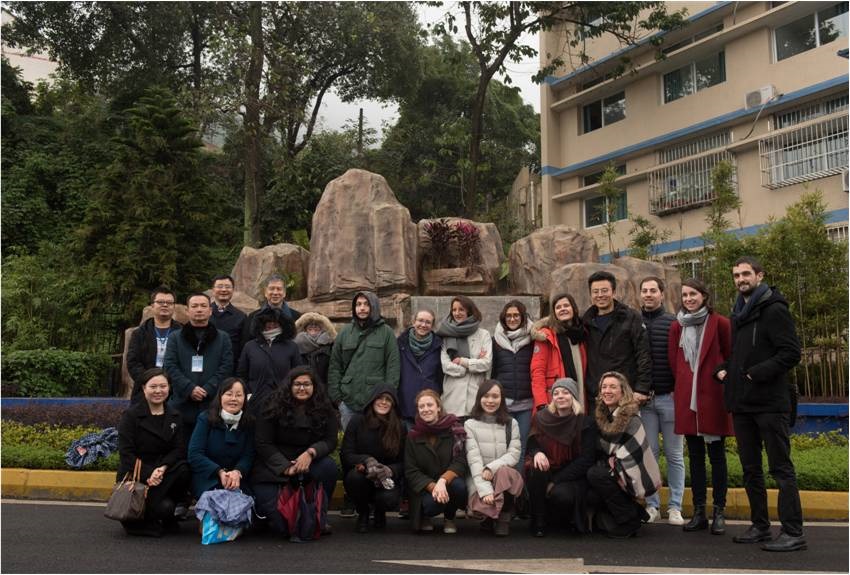 Z6��������ʱ���й������ٷ���վ