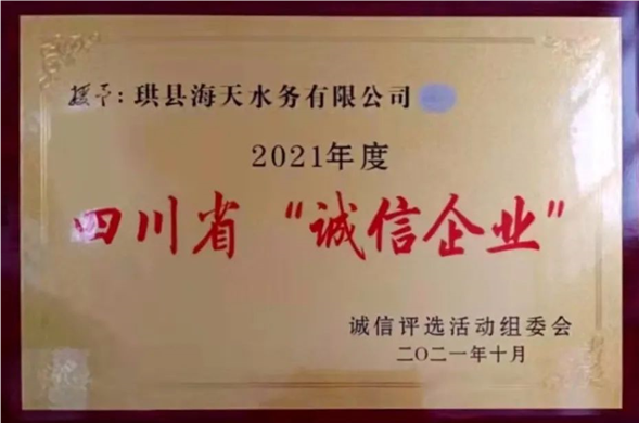 ���Ŷ���ӹ�˾��2021�����������